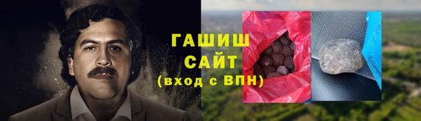 гидра Покачи
